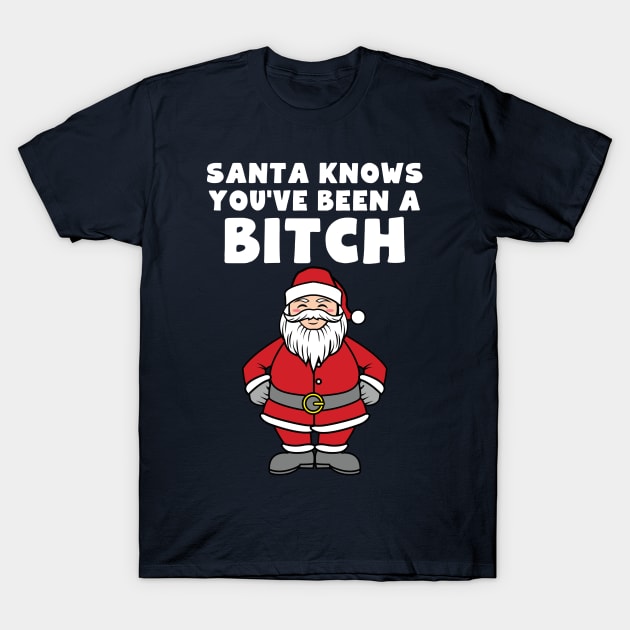 Santa Knows You've Been A Bitch T-Shirt by AngelFlame